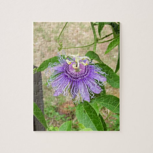 Puzzle de fleurs de passion (Vertical)