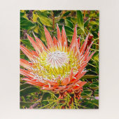 Puzzle de fleurs de Protea (Vertical)