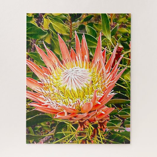 Puzzle de fleurs de Protea (Vertical)