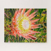 Puzzle de fleurs de Protea (Horizontal)
