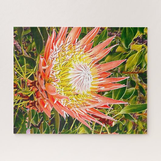 Puzzle de fleurs de Protea (Horizontal)