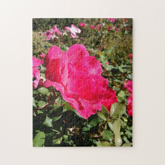 Puzzle de fleurs de roses rouges (Vertical)