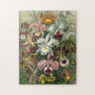 Puzzle de fleurs d'Ernst Haeckel