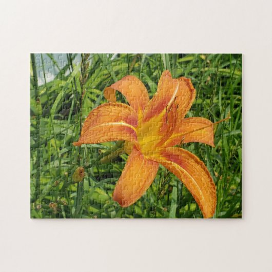 Puzzle de fleurs diurnes orange (Horizontal)
