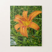 Puzzle de fleurs diurnes orange (Vertical)
