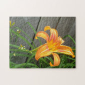 Puzzle de fleurs diurnes orange (Horizontal)