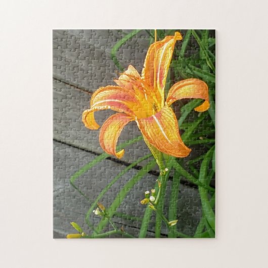 Puzzle de fleurs diurnes orange (Vertical)