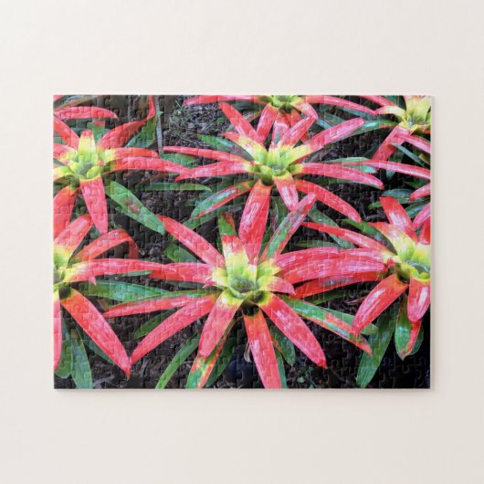 Puzzle de fleurs hawaïennes (Horizontal)