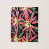 Puzzle de fleurs hawaïennes (Vertical)