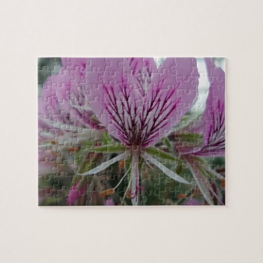 Puzzle de fleurs roses rouges (Horizontal)