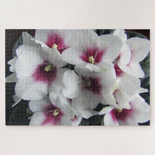 puzzle de fleurs violettes d'afrique rose (Horizontal)
