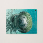 Puzzle de Floride de Manatee (Horizontal)
