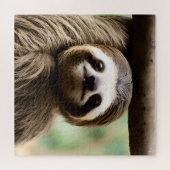 Puzzle de fond de paresseux mignon (Horizontal)
