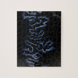 Puzzle de Fontanelle