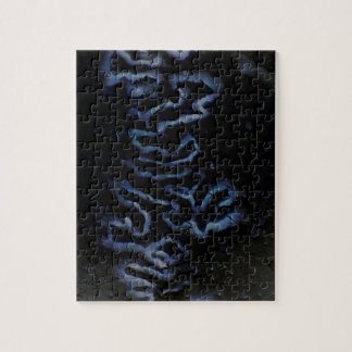 Puzzle de Fontanelle