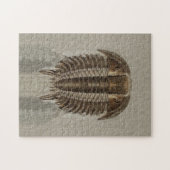 Puzzle de fossile de Trilobite (Horizontal)