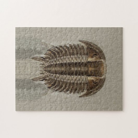 Puzzle de fossile de Trilobite (Horizontal)