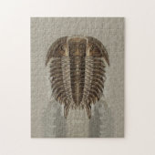 Puzzle de fossile de Trilobite (Vertical)