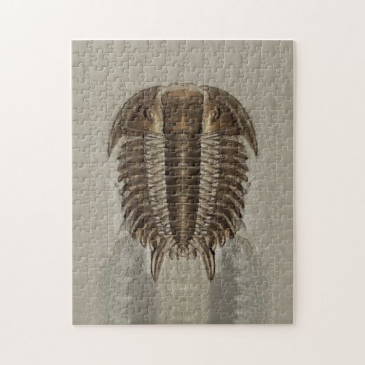 Puzzle de fossile de Trilobite (Vertical)