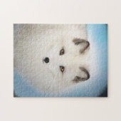 Puzzle de Fox arctique (Horizontal)
