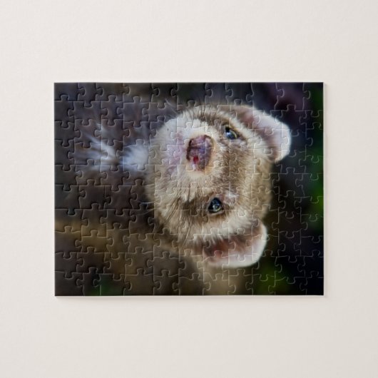 Puzzle de furet (Horizontal)