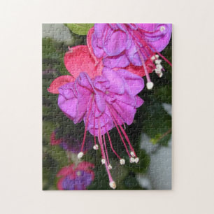 Puzzle de Fuschia de défenseurs de la veuve et de
