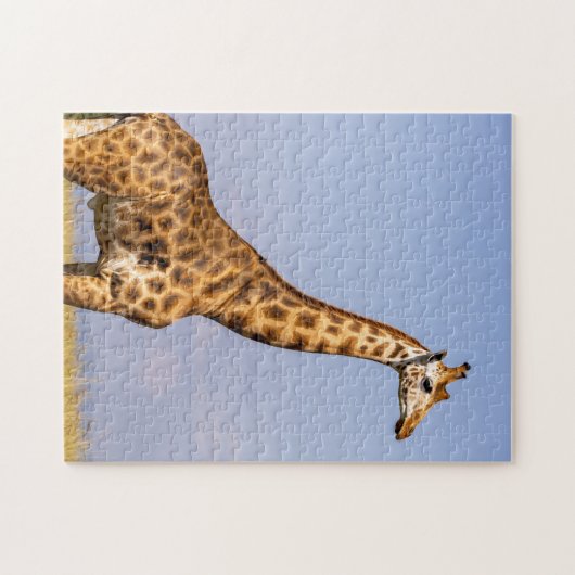 puzzle de girafes (Horizontal)
