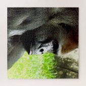 Puzzle de Gorilla (Horizontal)