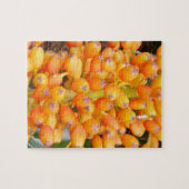 Puzzle de graines de fleurs (Horizontal)
