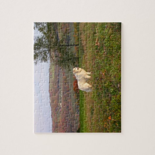 Puzzle de Grands Pyrénées (Vertical)