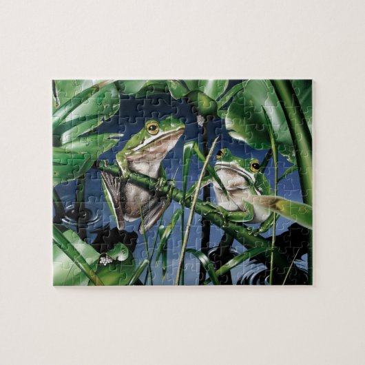 Puzzle de grenouille à arbre vert (Horizontal)