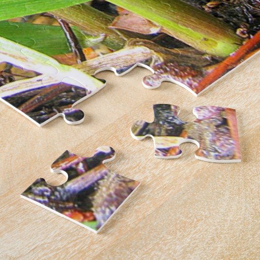 Puzzle de grenouille Extraordinaire (Côté)