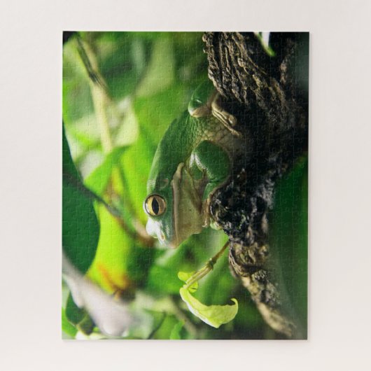 Puzzle de grenouille verte (Vertical)