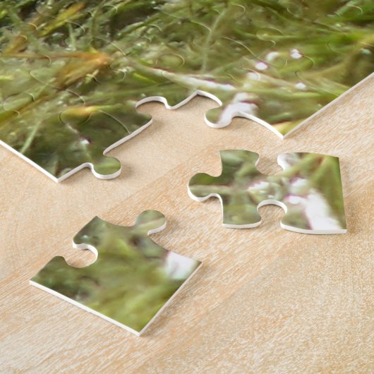 Puzzle de grenouille verte (Côté)