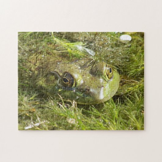 Puzzle de grenouille verte (Horizontal)
