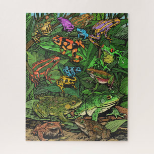 Puzzle de grenouilles