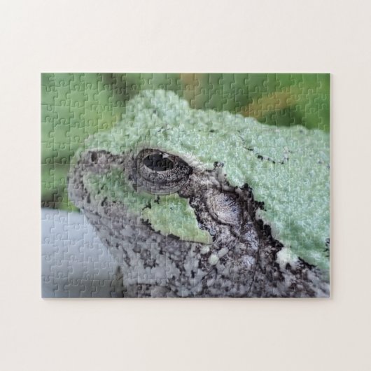 Puzzle de grenouilles d'arbre (Horizontal)