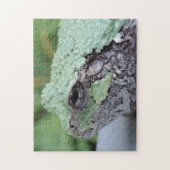 Puzzle de grenouilles d'arbre (Vertical)