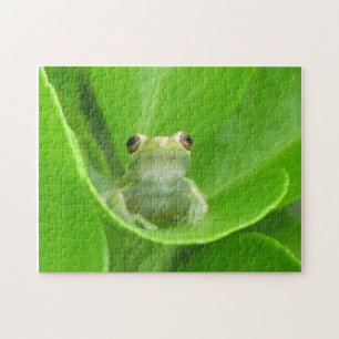 Puzzle de grenouilles d'arbre