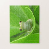 Puzzle de grenouilles d'arbre (Vertical)