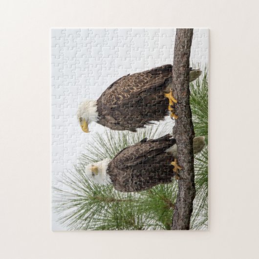 Puzzle de H&O (Vertical)