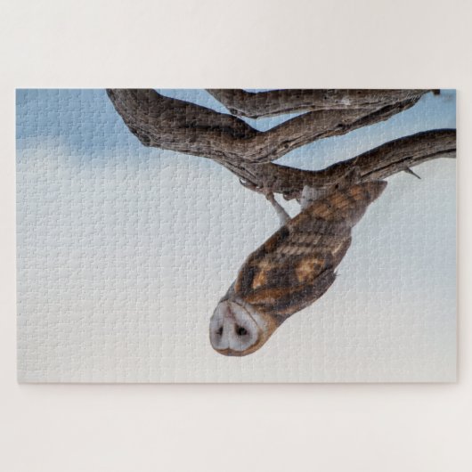 Puzzle de hibou (Horizontal)