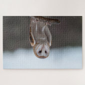 Puzzle de hibou (Horizontal)