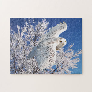 Puzzle "de hibou de Milou"
