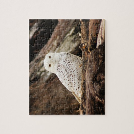 Puzzle de hibou de Milou (Vertical)