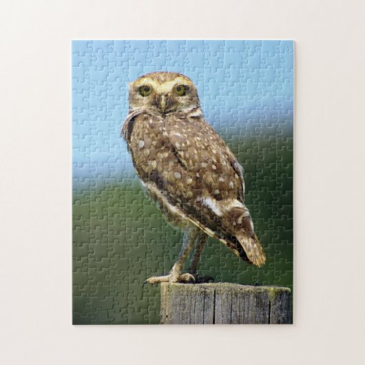 Puzzle de Hibou des terriers rapace (Vertical)