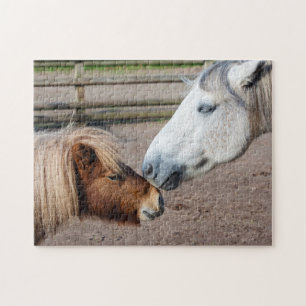 Puzzle de Highland Pony et Shetland Pony