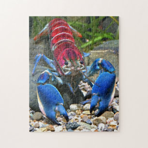 Puzzle de homard bleu griffé