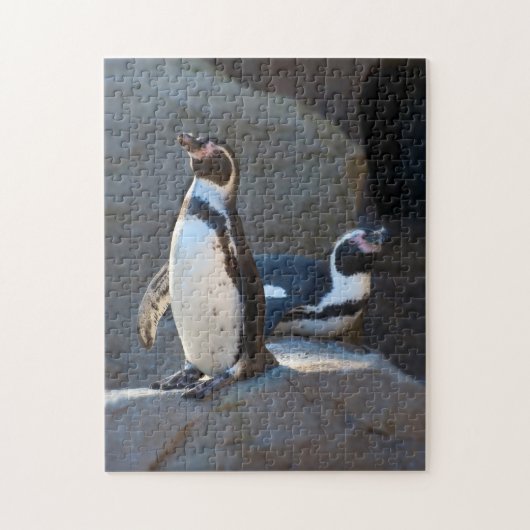 Puzzle de Humboldt Penguin (Vertical)