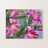 Puzzle de Jardin de stargazer asiatique peint (Horizontal)